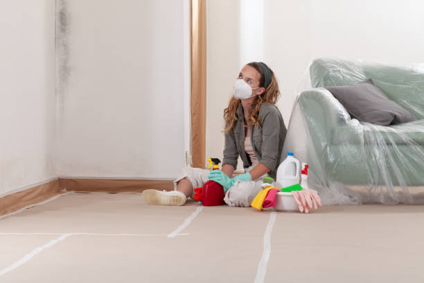 Reliable Mold Remediation contractor in Trenton, NJ by Cheap Mold Removal